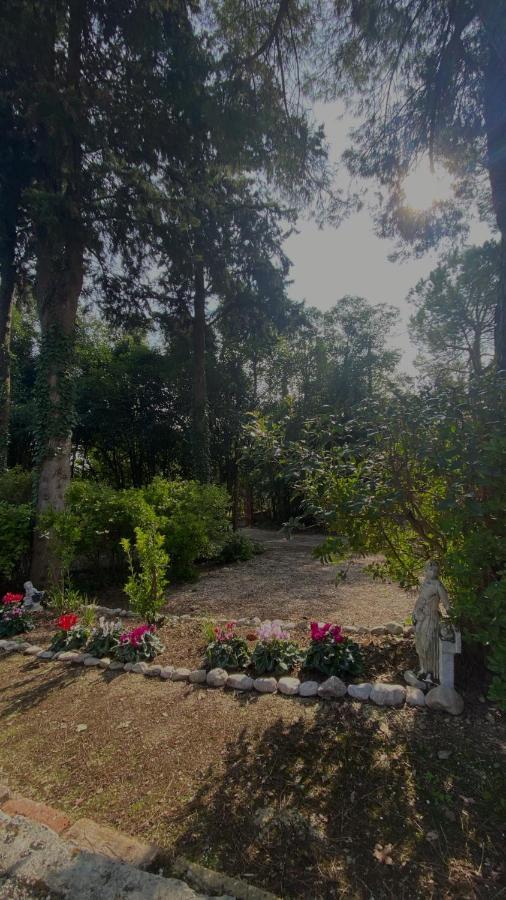 Casal Camillo Hotel Case Selva Grande Exterior photo